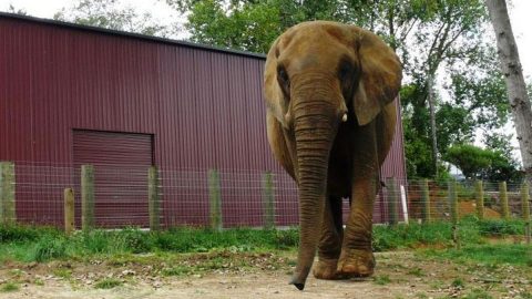 افضل انشطة في حديقة الحيوان بالدمام