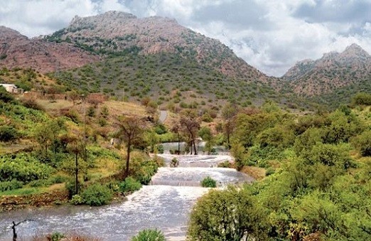 أفضل أنشطة في قرية الشفا بالطائف