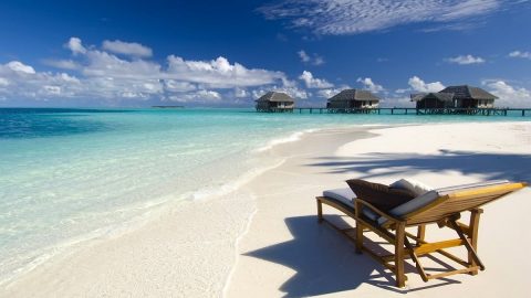 أفضل أنشطة في شاطئ النخيل جدة