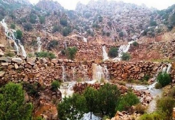 أفضل أنشطة في قرية الشفا بالطائف