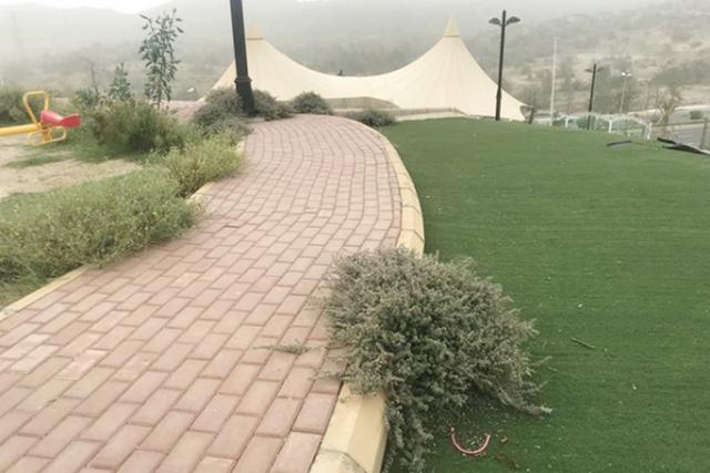 اين تقع بلجرشي على الخريطة