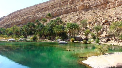 أفضل أنشطة في قرية الشفا بالطائف