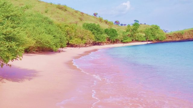 أهم أنشطة في الشاطئ الوردي في لومبوك اندونيسيا