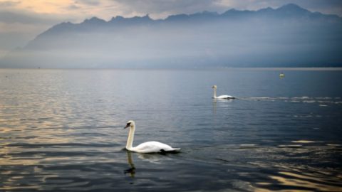 افضل انشطة في بحيرة الاصفر بالاحساء