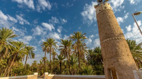 السياحة في القصيم