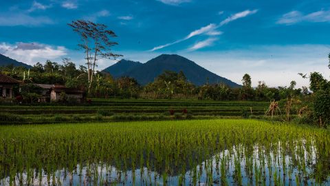 أفضل أنشطة في سفاري بوكيت تايلاند