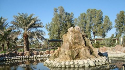 أفضل أنشطة في محمية ومتنزه العرين بالبحرين