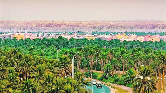 افضل انشطة عند زيارة مجمع الفوارس مول بالاحساء