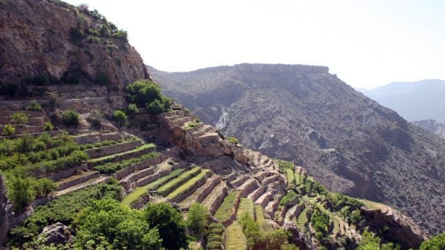 افضل انشطة في ابها بلازا