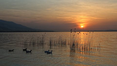 افضل انشطة في بحيرة سبانجا تركيا