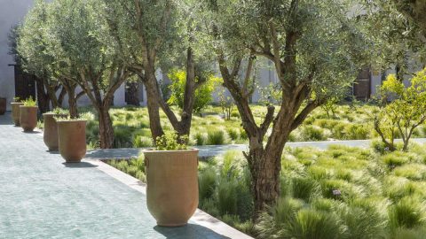 افضل منتزهات الاحساء التي ننصحكم بزيارتها