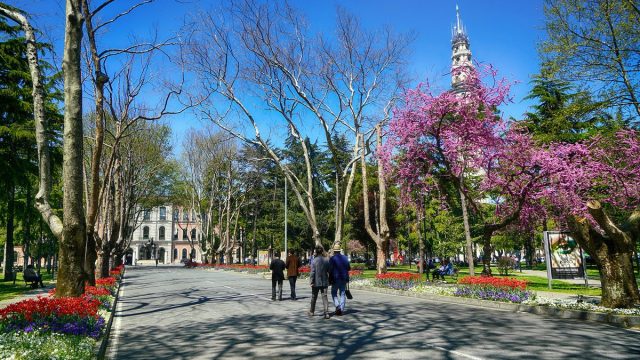 افضل منتزهات المدينة المنورة ننصحكم بزيارتها