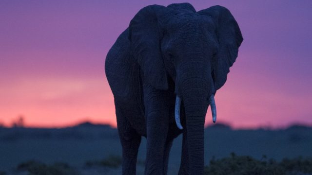 السياحة في نيروبي