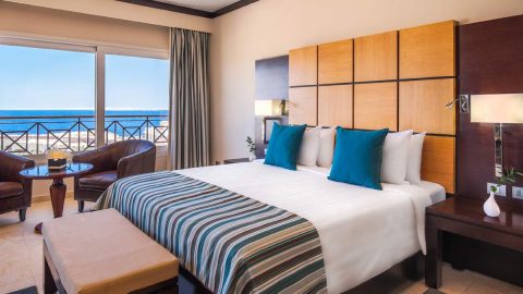 تقرير عن سلسلة فندق هوليدي ان اسطنبول