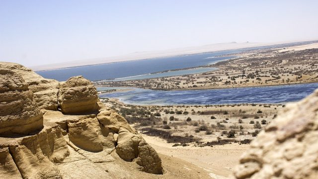 السياحة في الخفجي | سفاري