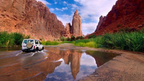 افضل انشطة في الديسه تبوك