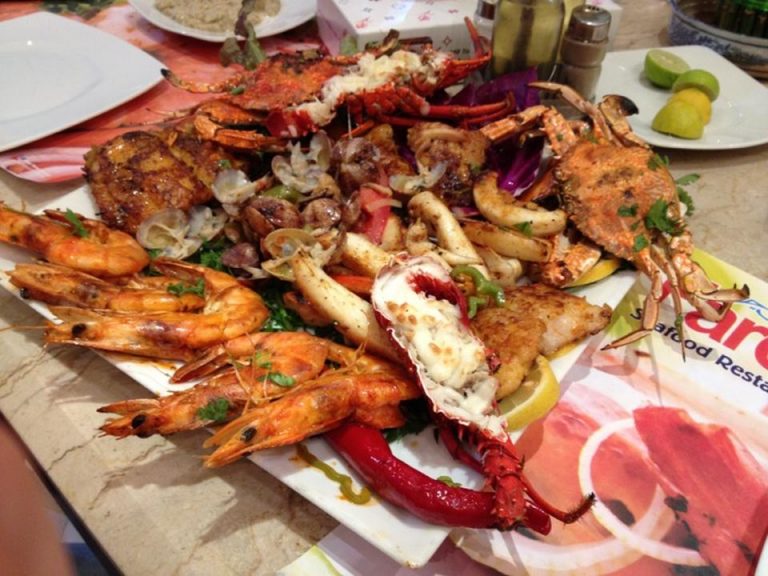 تقرير عن مطعم فارس شرم الشيخ