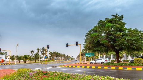 أفضل أنشطة توفّرها لك حديقة الصبح ينبع