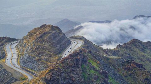 أفضل أنشطة يمكنك القيام بها في حديقة العنود الطائف