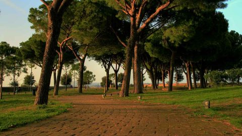 افضل انشطة في منتزه المراث بخميس مشيط