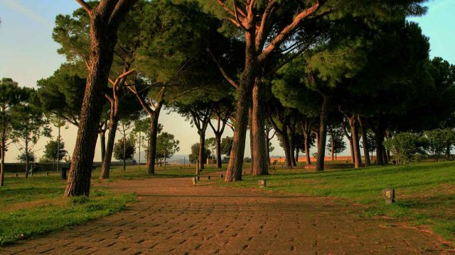 افضل انشطة في منتزه المراث بخميس مشيط