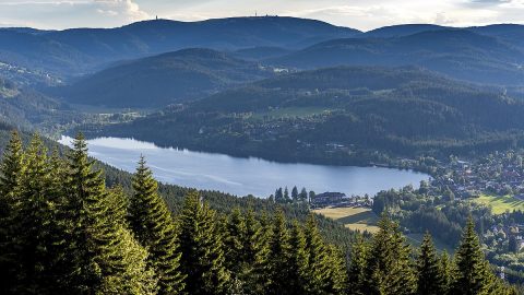 أفضل أنشطة عند زيارة الغابة السوداء في المانيا