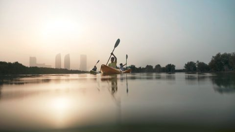 أفضل أنشطة عند زيارة جزيرة فيلكا الكويت