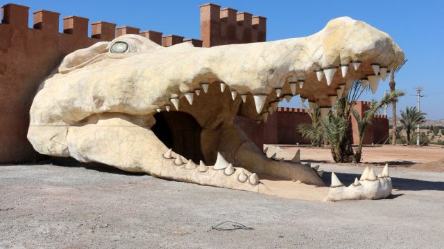 أفضل أنشطة في حديقة التماسيح في أغادير