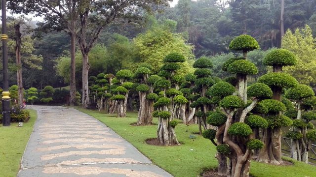 أفضل أنشطة في حديقة الملك فيصل الطائف