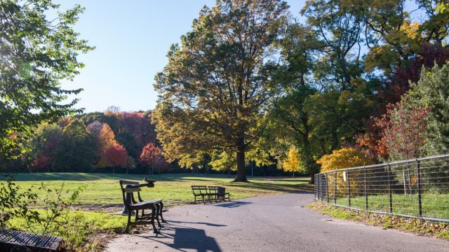 أفضل أنشطة في منتزه الحدبان في الطائف