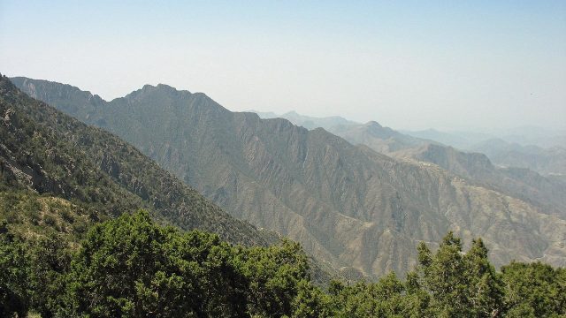 أفضل أنشطة في منتزه جبل شدا الأعلى بالباحة السعودية