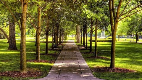 أفضل أنشطة يمكنك القيام بها في حديقة الجال الطائف