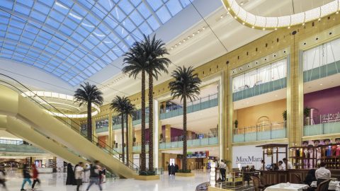 أهم أنشطة في الواحة مول الرس