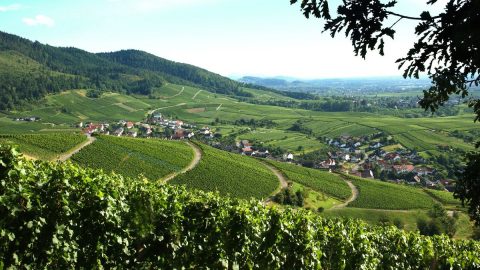 السياحة في بادن بادن