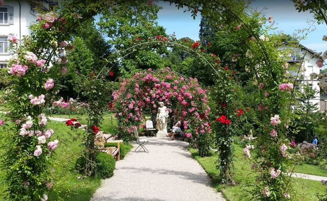 افضل انشطة في الغابات السوداء المانيا