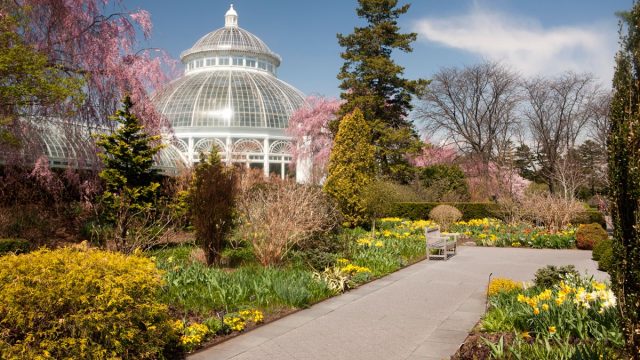 أفضل أنشطة توفّرها لك حديقة التر بوتانيشر ميونخ