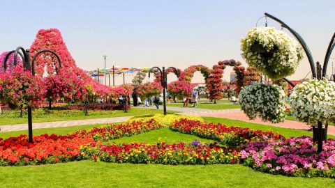 افضل حدائق دبي ننصح بزيارتها