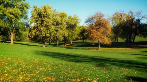 افضل منتزهات الباحه الموصى بزيارتها