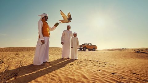 السياحة في عرعر