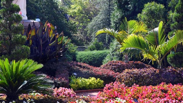 افضل أنشطة في حديقة ريو دي جانيرو النباتية