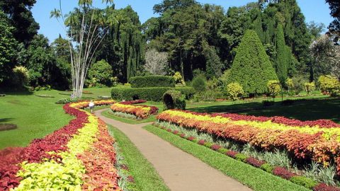 افضل انشطة في حديقة الامواج بتبوك