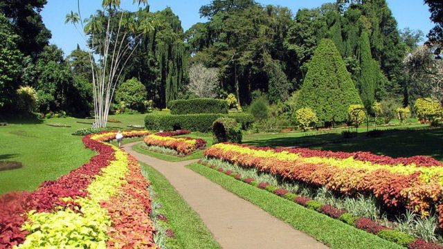 افضل انشطة في حديقة الامواج بتبوك