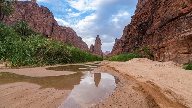 اين تقع تبوك وما هي اهم المدن القريبة منها