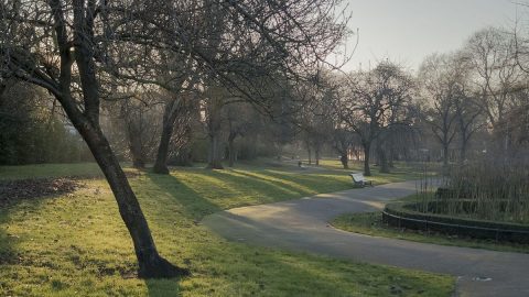 افضل أنشطة في منتزه الامير ماجد جدة
