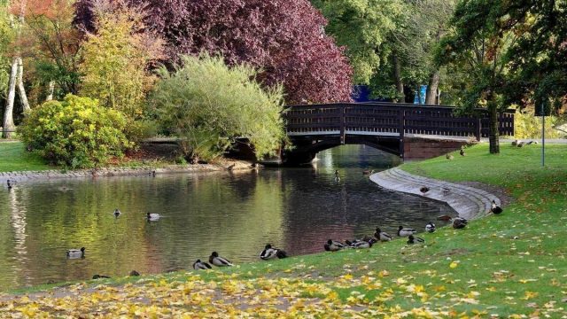 افضل حدائق ريو دي جانيرو التي ننصح بزيارتها