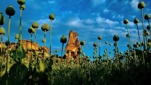 السياحة في افيون