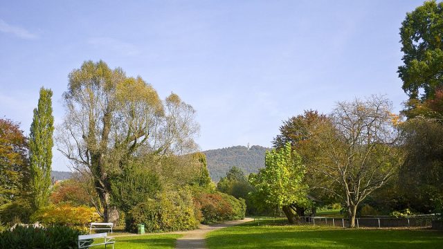 أفضل أنشطة في حديقة المشتل هارلي في بون المانيا