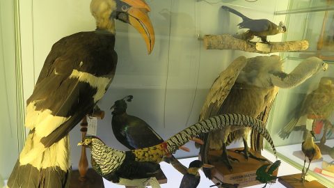 أفضل أنشطة في متحف بوث للتاريخ الطبيعي