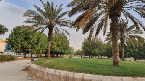 أفضل الانشطة المتوفرة في حديقة النهضة الرياض