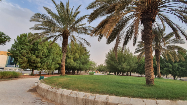 أفضل الانشطة المتوفرة في حديقة النهضة الرياض